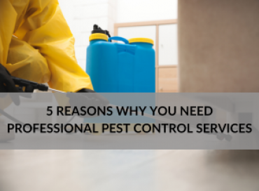 5 Reasons Why You Need Professional Pest Control Services