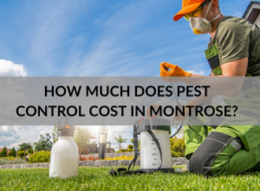 How Much Does Pest Control Cost in Montrose?