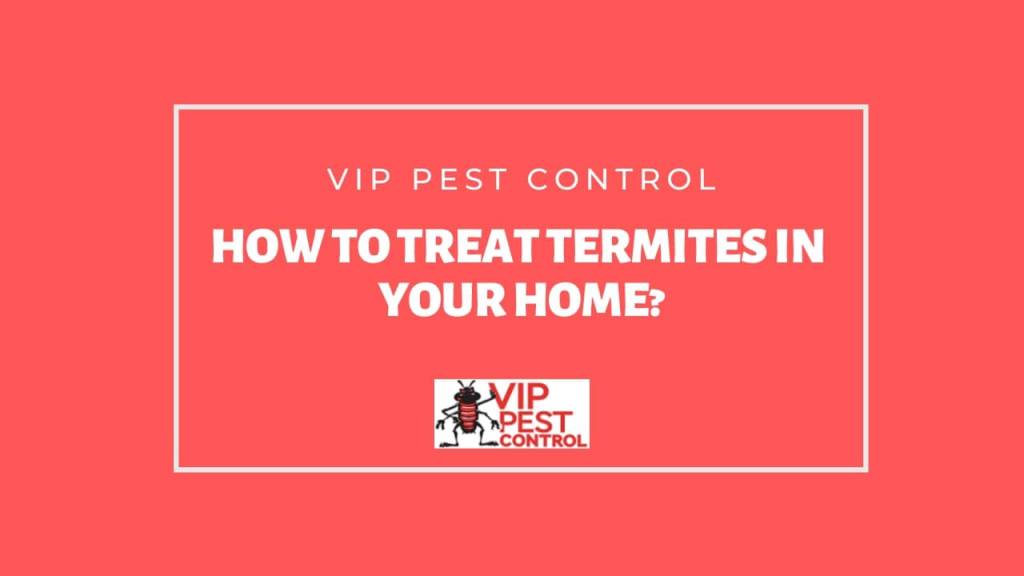 termite treatment melbourne