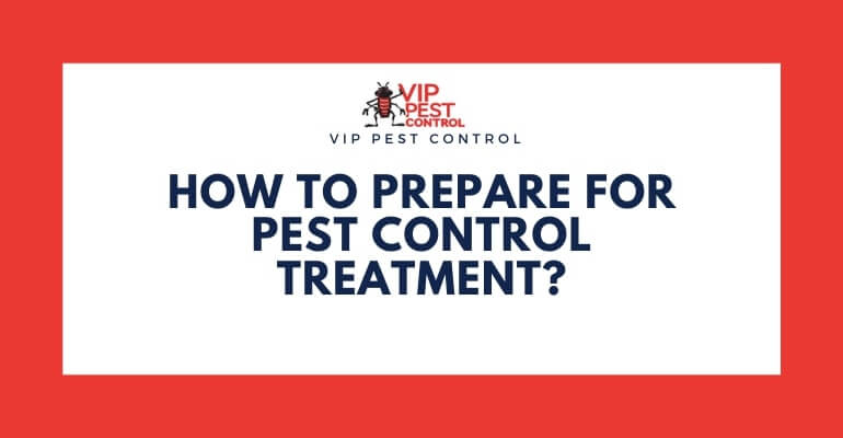 How To Prepare For Pest Control Treatment?