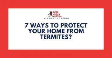 7 Ways to Protect Your Home from Termites in Australia