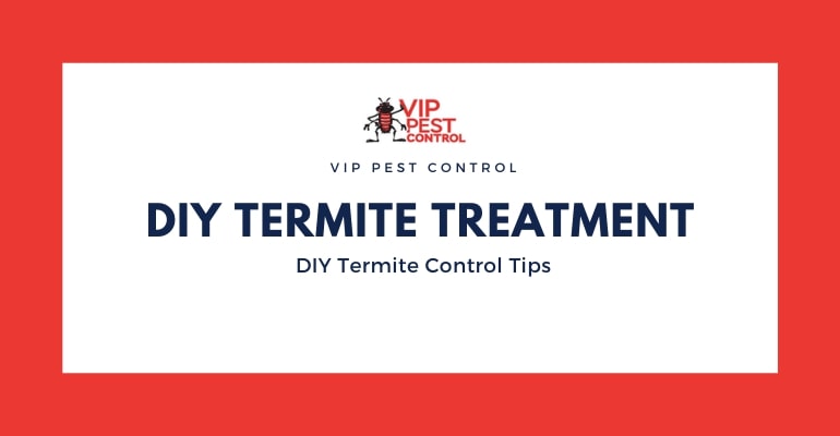 7 Must Know Tips for DIY Termite Treatment in Australia