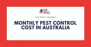 How Much Does Monthly Pest Control Cost in Australia?