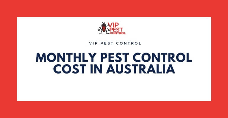 pest control cost