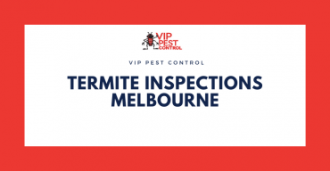 Building and Termite Inspections Melbourne