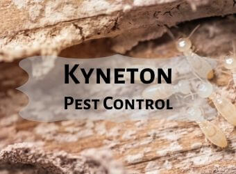 pest control kyneton