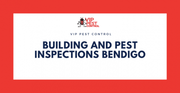 Building and Pest Inspections Bendigo