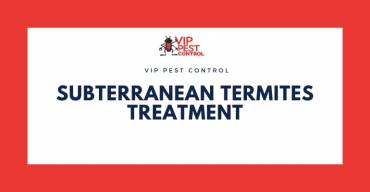Subterranean Termites Treatment
