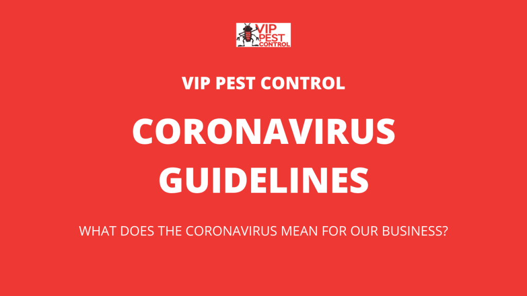 pest control corona