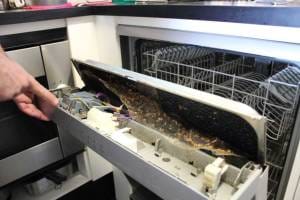 Bendigo Pest Control