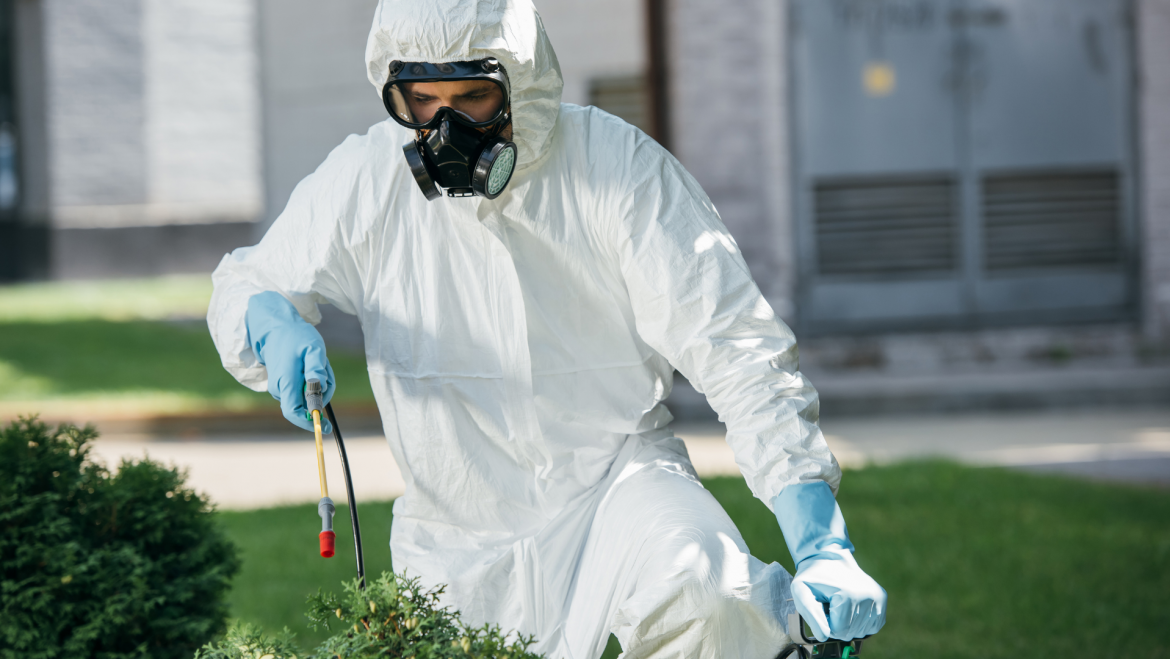 Is Pest Control Really Necessary in Bendigo?