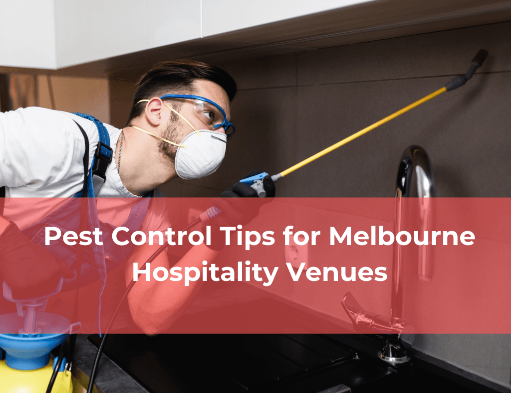 Pest Control Tips for Melbourne Hospitality Venues