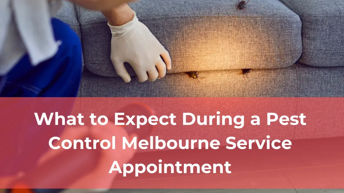 What to Expect During a Pest Control Melbourne Service Appointment