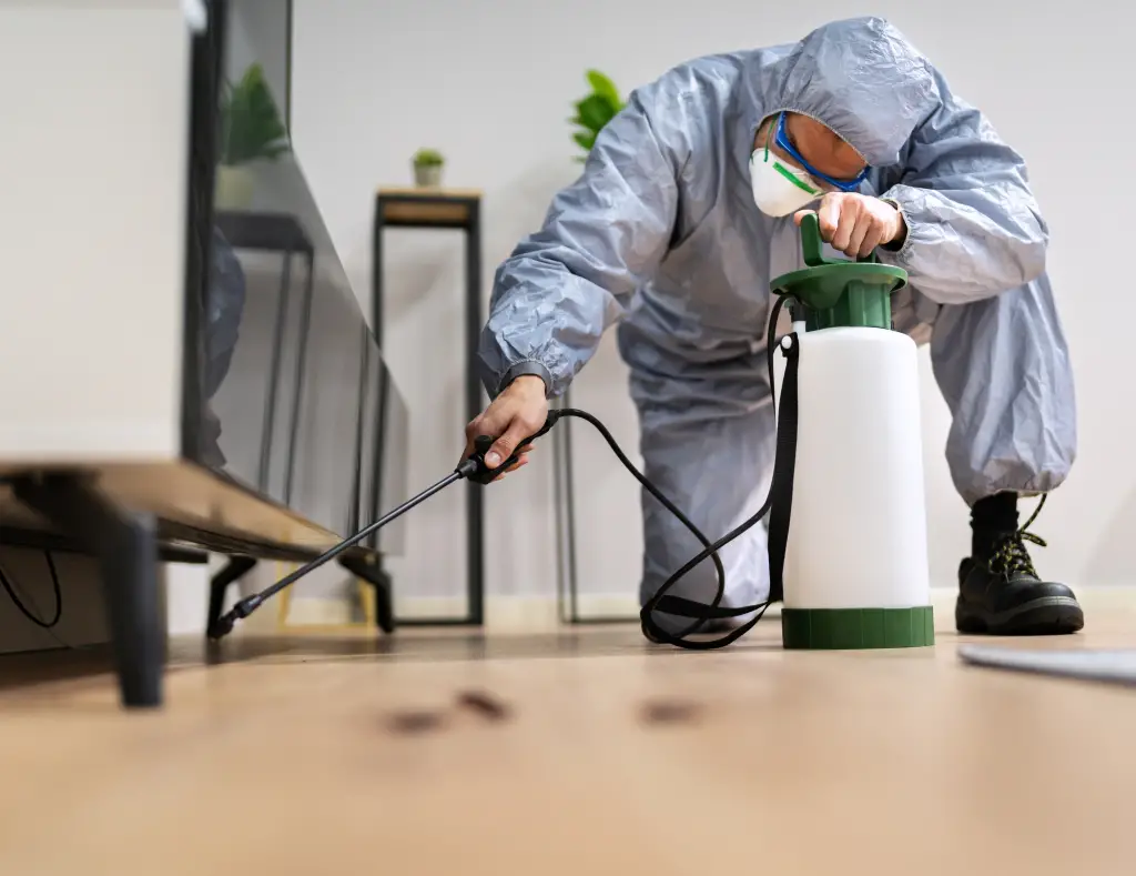 termite Protection in derrinal