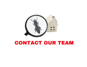 Pest Control Melbourne Services