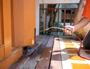 Pest Control Services