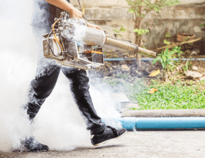 Pest Control Services
