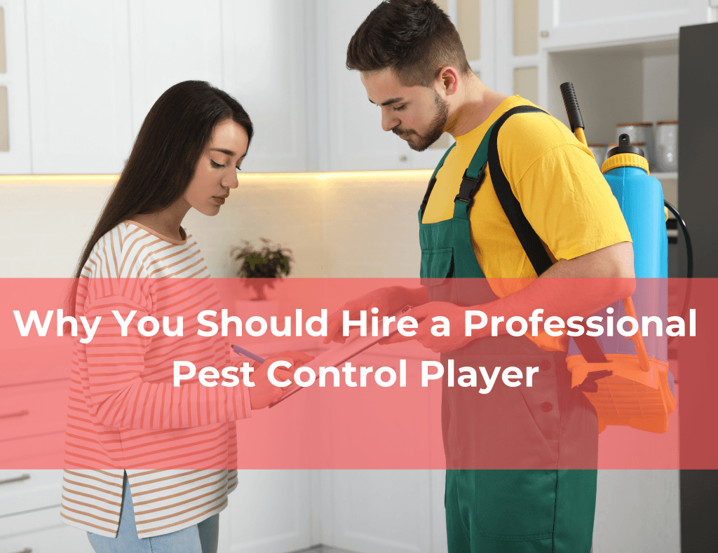 professional pest control service expert