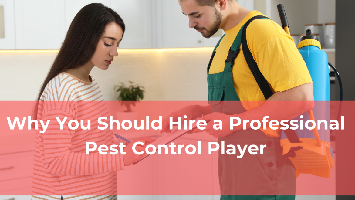 Why You Should Hire a Professional Pest Control Player
