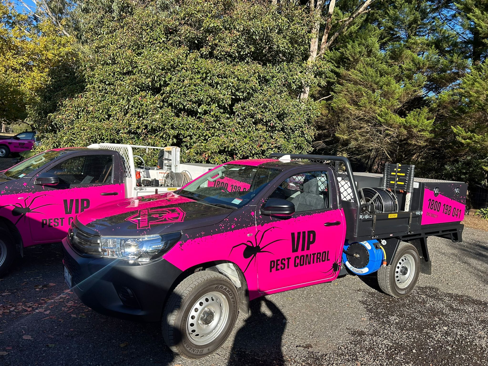bendigo pest control