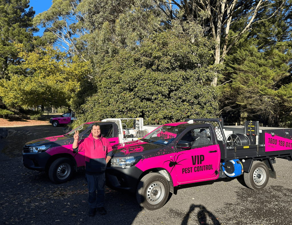 pest control bendigo