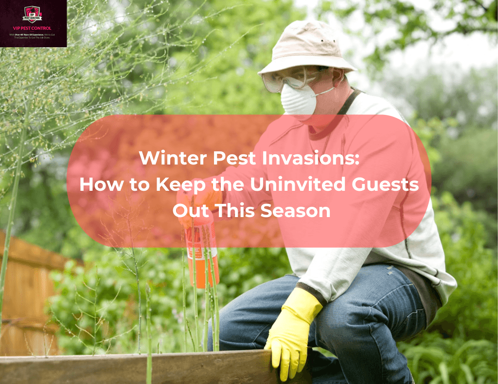 pest control services melbourne