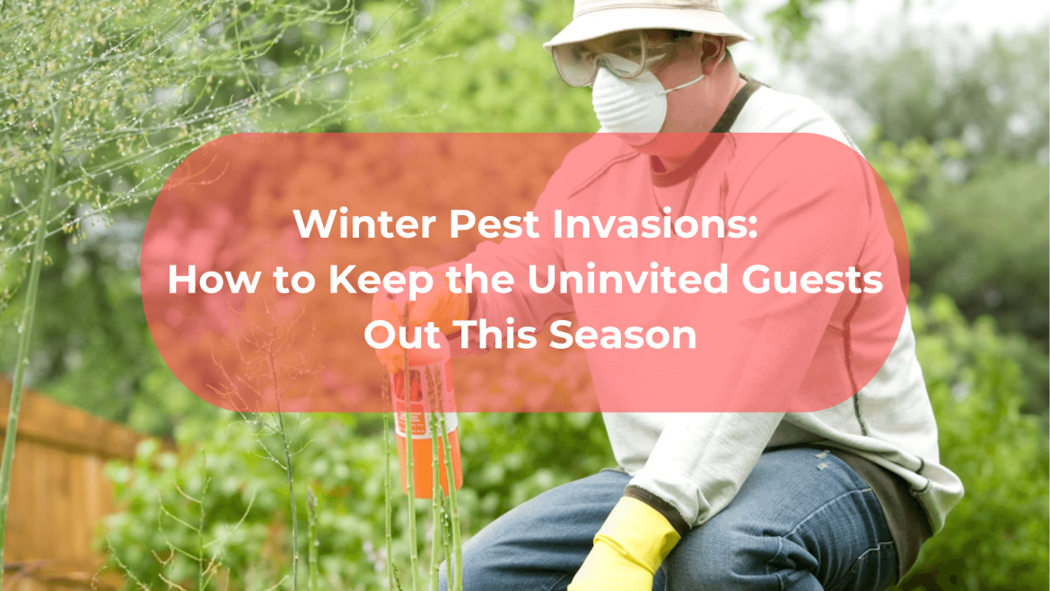 Winter Pest Invasions: How to Keep the Uninvited Guests Out This Season