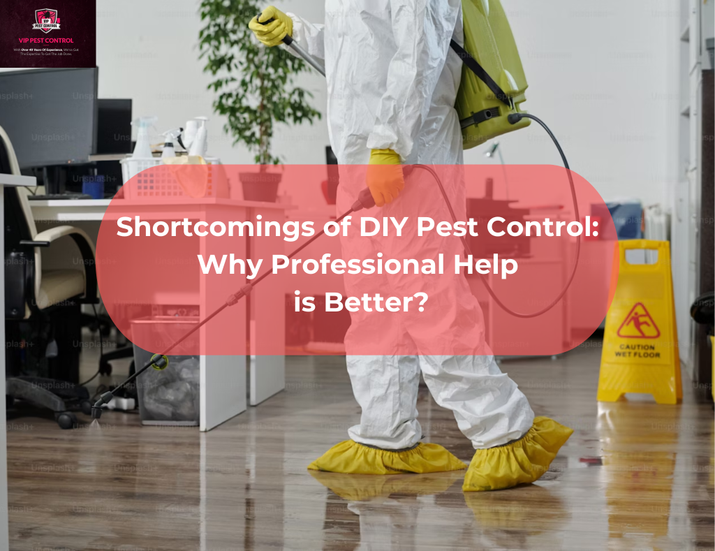 pest control services melbourne
