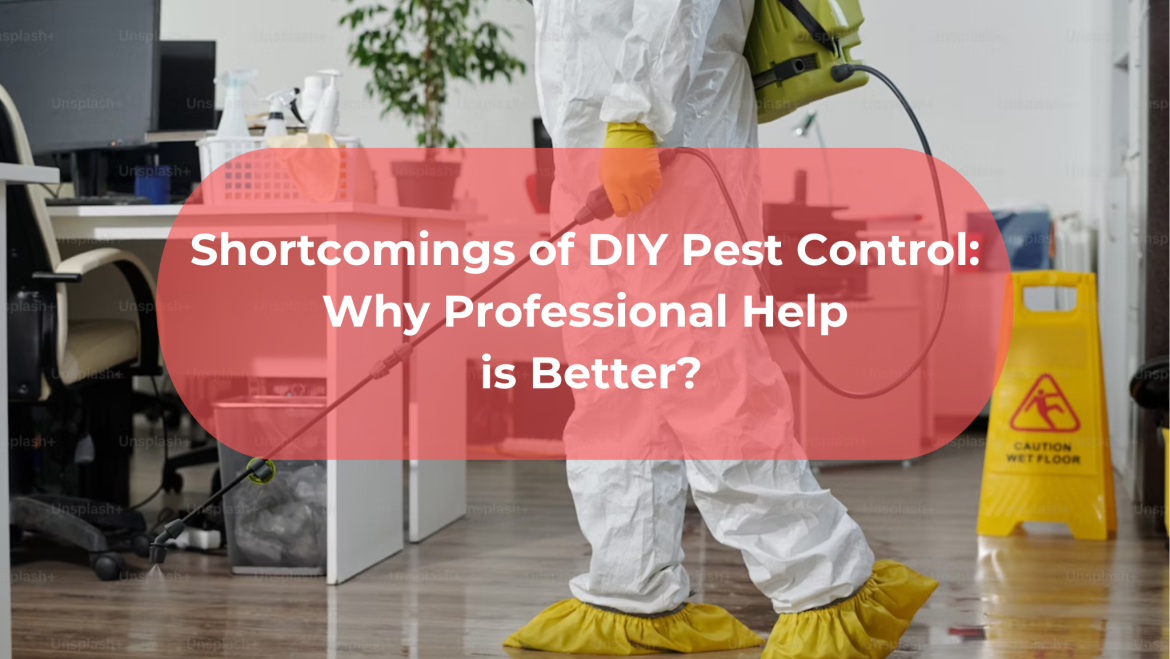 Shortcomings of DIY Pest Control: Why Professional Help is Better?