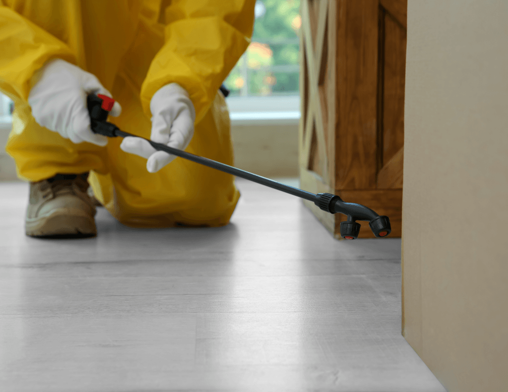 pest control bendigo