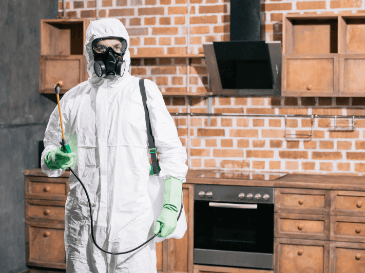 pest control castlemaine