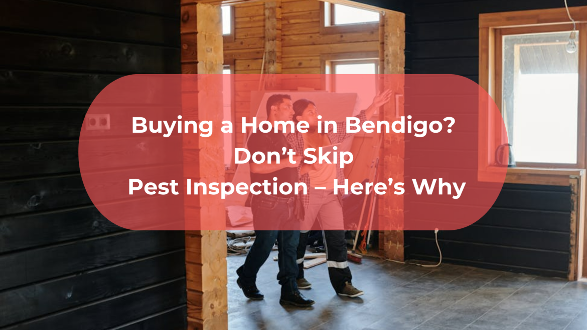 Buying a Home in Bendigo? Don’t Skip Pest Inspection – Here’s Why