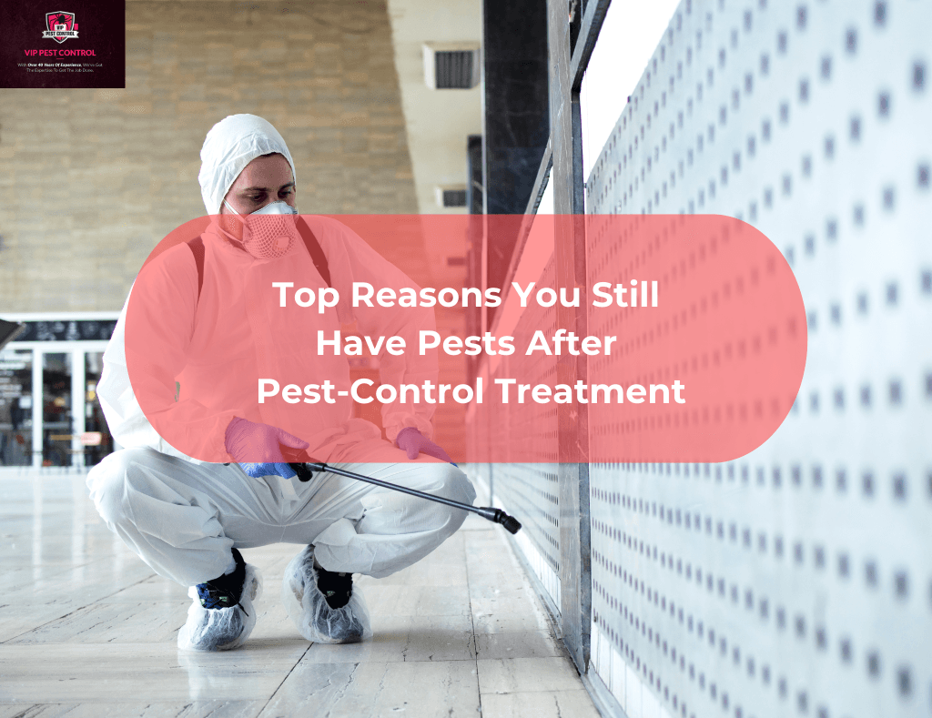 pest control services bendigo