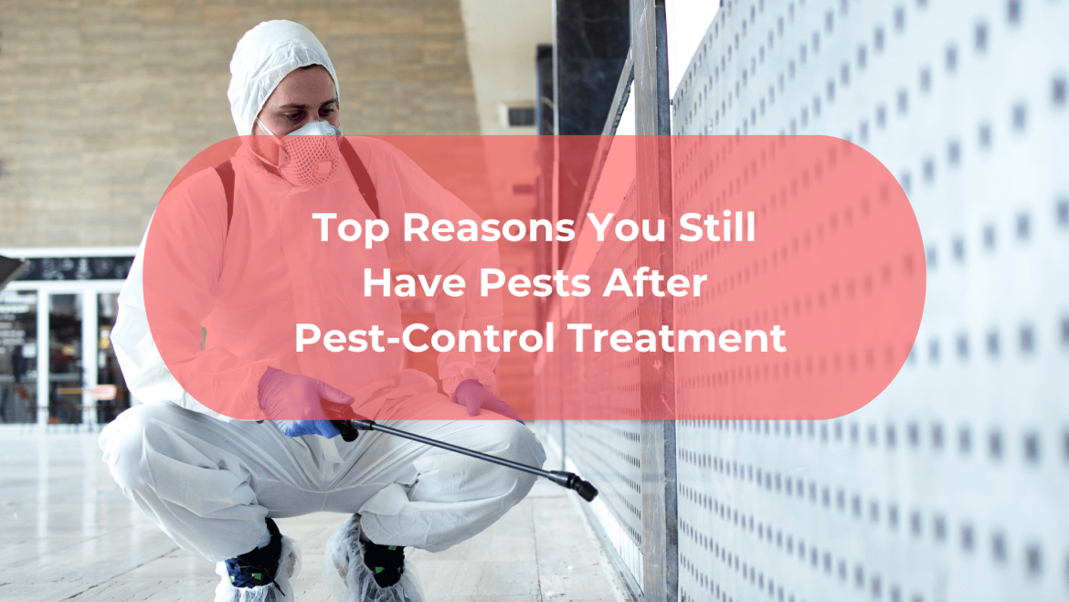 Top Reasons You Still Have Pests After Pest-Control Treatment