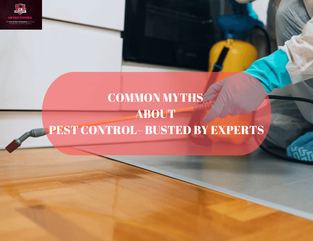 common myths about pest control