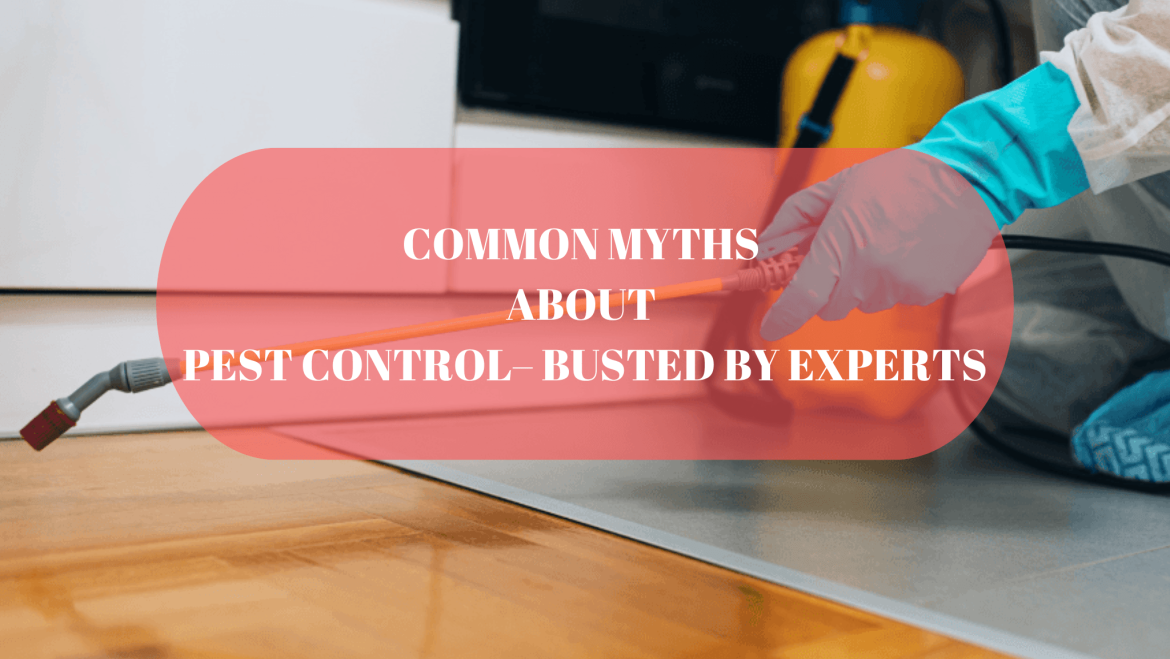 Common Myths About Pest Control – Busted by Experts