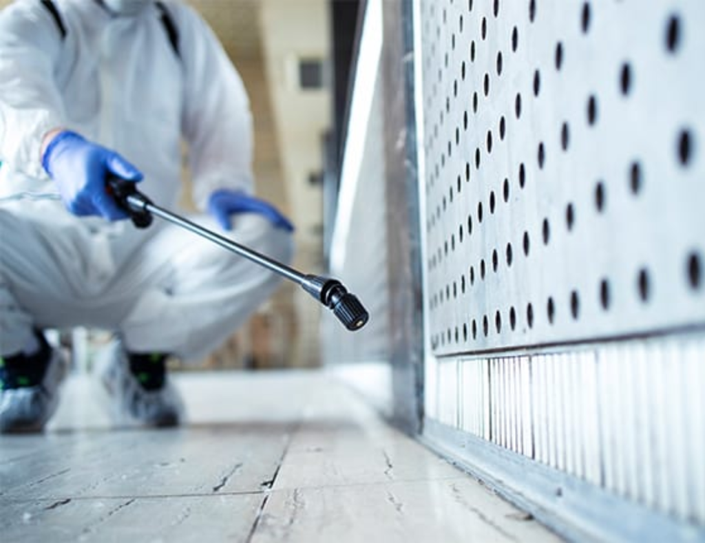 pest control bendigo