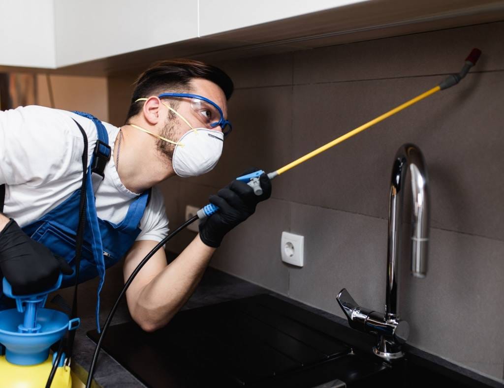Termite Treatment