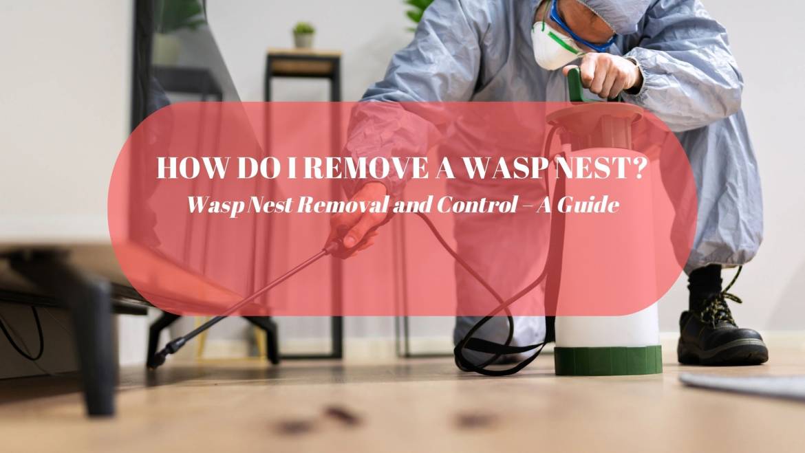How Do I Remove a Wasp Nest? Wasp Nest Removal and Control – A Guide