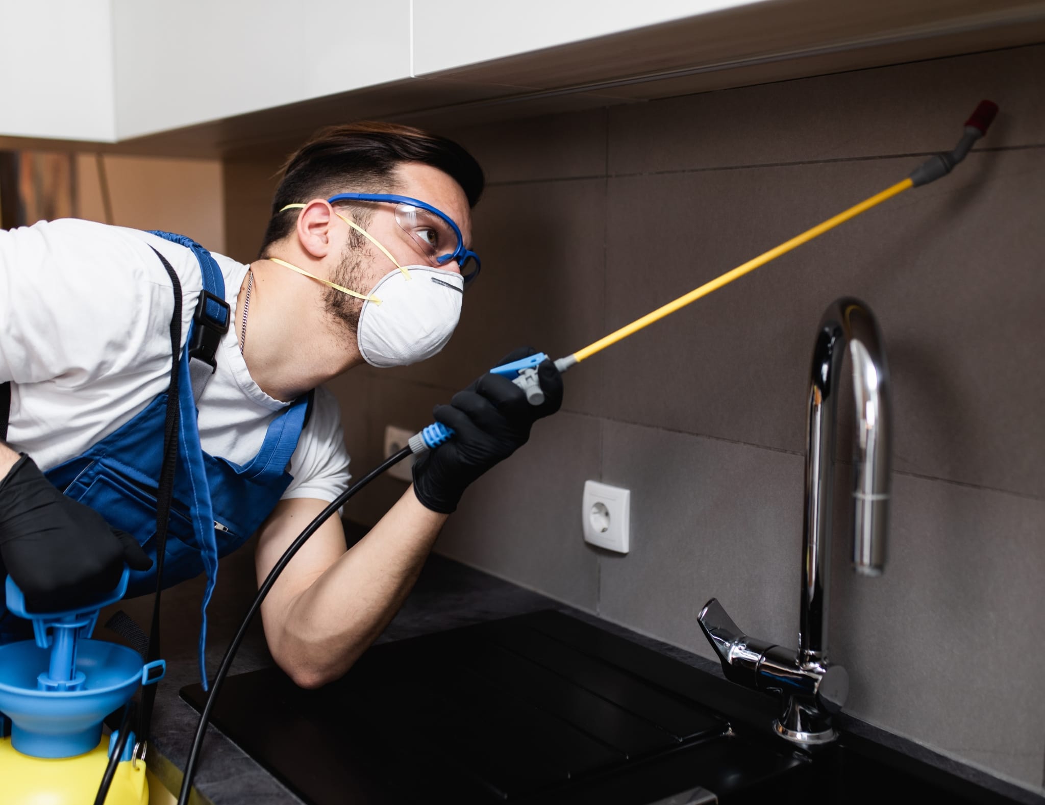 pest control wasps