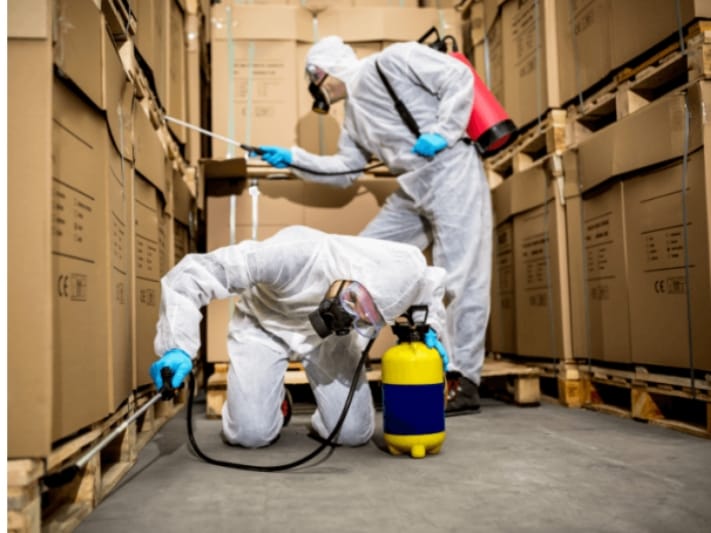 termite Protection in derrinal