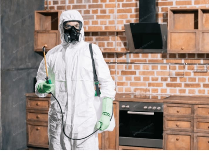 termite protection in golden gully