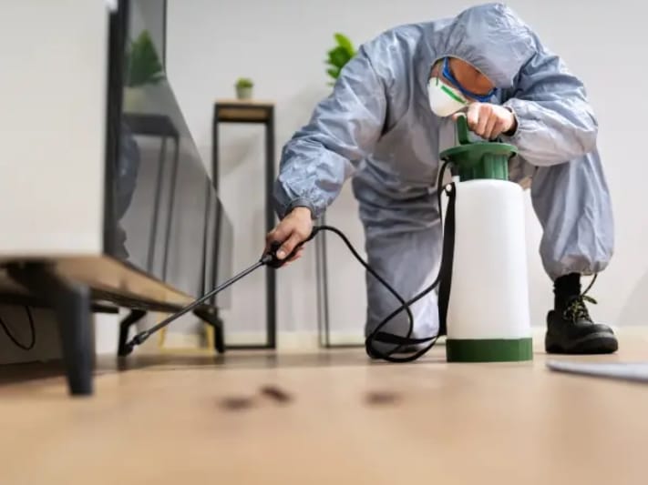 pest control service Goornong