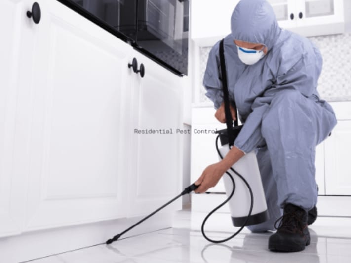 Termite Inspections Heathcote