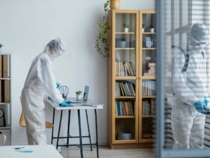 termite control