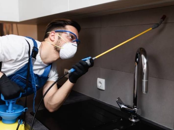 termite inspection kennington