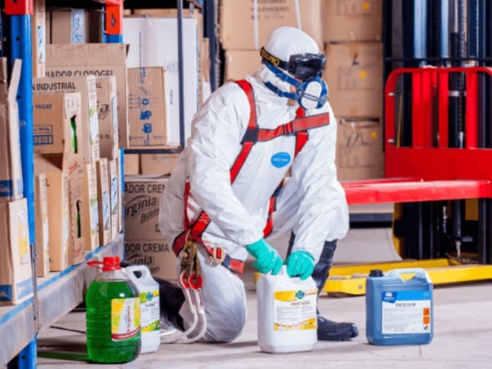 termite inspection