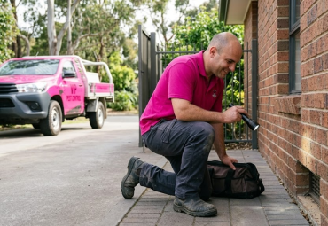 What Is Professional Rodent Control & Prevention in Rochester?
